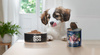 John Dog Berry Line Jagnięcina I Śledź Z Borówkami 12x400g Mokra Karma Dla Szczeniąt