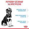Royal Canin Maxi Puppy 2x15kg Karma Sucha Dla Szczeniąt, Od 2 Do 15 Miesiąca Życia, Ras Dużych