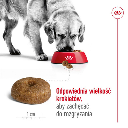Royal Canin SHN Maxi Adult 8+ 15kg Karma Sucha Dla Psów Dojrzałych Po 8 Roku Życia Ras Dużych