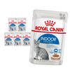 Royal Canin Indoor Sterilised w Sosie i Galaretce 6x85g Karma Mokra Dla Kotów Sterylizowanych Niewychodzących