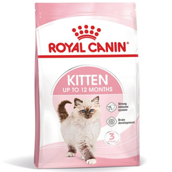 Royal Canin FHN Kitten 10kg Karma Sucha Dla Kociąt Od 4 Do 12 Miesiąca Życia