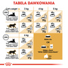 Royal Canin FBN Siamese Adult 2kg Karma Sucha Dla Kotów Dorosłych Rasy Syjamskiej