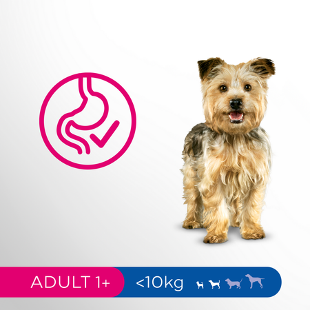 Perfect Fit (adult 1+) 2,6kg Bogaty W Kurczaka Sucha Karma Dla Psa Małej Rasy