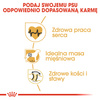 Royal Canin BHN Rottweiler Adult 12kg Karma Sucha Dla Psów Dorosłych Rasy Rottweiler