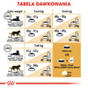 Royal Canin FBN Bengal Adult 10kg Karma Sucha Dla Kotów Dorosłych Rasy Bengalskiej Powyżej 12 Miesiąca Życia