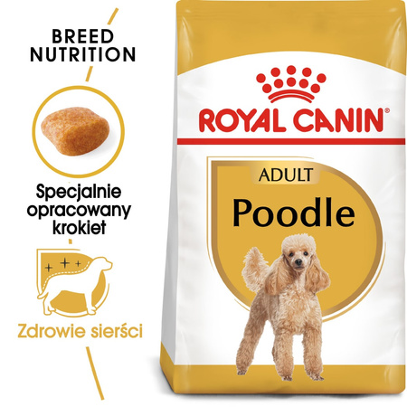 Royal Canin BHN Poodle Adult 1,5kg Karma Sucha Dla Psów Dorosłych Rasy Pudel Miniaturowy