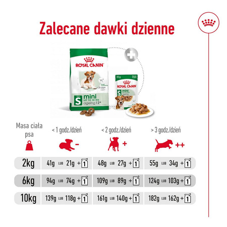 Royal Canin SHN Mini Adult 12+ 3,5kg Karma Sucha Dla Psów Dojrzałych Po 12 Roku Życia Ras Małych