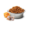 Farmina N&D Cat Ocean Herring Pumpkin Orange Adult 1,5kg Sucha Karma Dla Kota Śledź z Dynią i Pomarańczą
