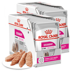 Royal Canin CCN Exigent 24x85g Karma Mokra Pasztet Dla Wybrednych Psów Dorosłych