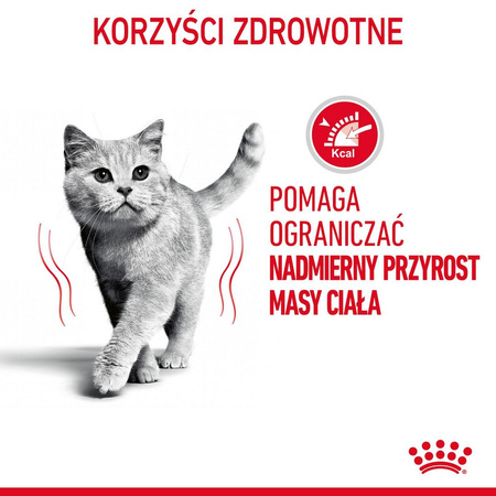 Royal Canin Light Weight Care w Sosie 6x85g Karma Mokra Dla Kotów z Tendencją Do Nadwagi