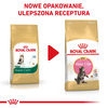 Royal Canin FBN Maine Coon Kitten 2kg Karma Sucha Dla Kociąt Do 15 Miesiąca Rasy Maine Coon