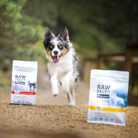 Raw Paleo Ultra Turkey Medium & Large Puppy 10kg Monoproteinowa Sucha Karma Z Indykiem Dla Szczeniąt
