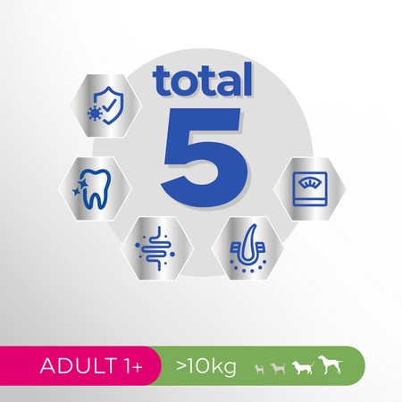 Perfect Fit 2x6kg Pełnoporcjowa Sucha Karma Dla Dorosłych Psów Średnich I Dużych Ras Kurczak