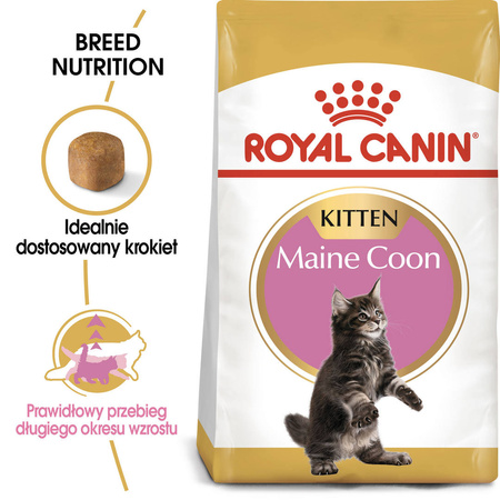 Royal Canin FBN Maine Coon Kitten 4kg Karma Sucha Dla Kociąt Do 15 Miesiąca Rasy Maine Coon