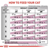 Royal Canin Veterinary Renal 2kg Sucha Karma Dla Dorosłych Kotów Z Niewydolnością Nerek Zapobiega Powstawaniu Kamieni