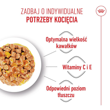 Royal Canin FHN Kitten Sterilised w Sosie i Galaretce 24x85g Karma Mokra Dla Kociąt Sterylizowanych Do 12 Miesiąca Życia