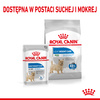 Royal Canin Mini Light Weight Care 8kg Karma Sucha Dla Psów Małych Ras Z Tendencją Do Nadwagi