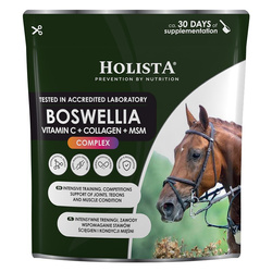 Holista Equine Boswellia Seratta Complex 500g MSM Kolagen Wit C Stawy Regeneracja Konie Sportowe