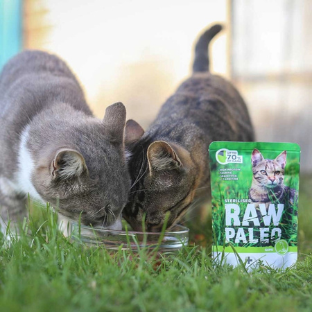 Vet Expert Raw Paleo Sterilised Game 24x100g Saszetka Karma Mokra z Dziczyzną Dla Kotów Sterylizowanych