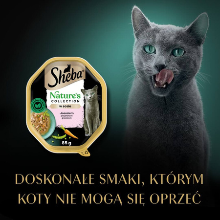 Sheba Nature's Collection 85g Z Łososiem I Zielonym Groszkiem W Sosie Mokra Karma Dla Dorosłych Kotów