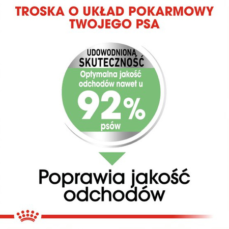 Royal Canin CCN Mini Digestive Care 8kg Karma Sucha Dla Psów Dorosłych Ras Małych O Wrażliwym Przewodzie Pokarmowym