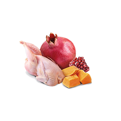 Farmina N&D Cat Quail & Pumpkin 70g Mokra Karma Dla Kota Przepiórka I Dynia