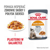 Royal Canin Hair & Skin 6x85g Mokra Karma Dla Kotów Dorosłych w Galaretce Zdrowa Skóra Piękna Sierść