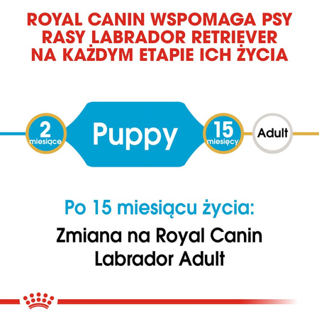 Royal Canin BHN Labrador Retriever Puppy 12kg Karma Sucha Dla Szczeniąt Do 15 Miesiąca Rasy Labrador Retriever