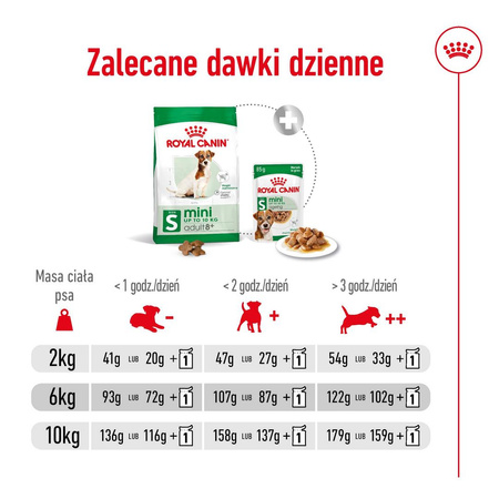 Royal Canin Mini Adult 8+ 8kg Karma Sucha Dla Psów Starszych Od 8 Do 12 Roku Życia Ras Małych