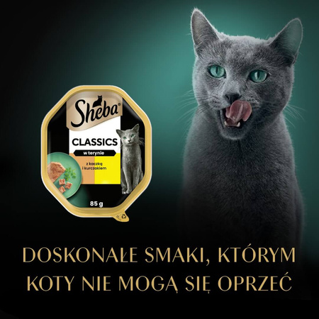 Sheba Classics Tacka 6x85g Mokra Karma Pełnoporcjowa Dla Kota Z Kaczką I Kurczakiem W Terynie