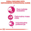 Royal Canin Exigent Savour Sensation 10kg Karma Sucha Dla Kotów Dorosłych Wybrednych Kierujących Się Teksturą Krokieta