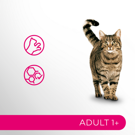 Perfect Fit Adult 1+ 4x85g Mokra Karma Dla Kotów Z Kurczakiem I Wołowiną W Sosie