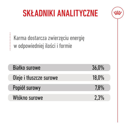Royal Canin FHN Kitten 10kg Karma Sucha Dla Kociąt Od 4 Do 12 Miesiąca Życia