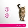 Perfect Fit Adult 1+ 4x85g Mokra Karma Dla Kotów Z Kurczakiem I Wołowiną W Sosie