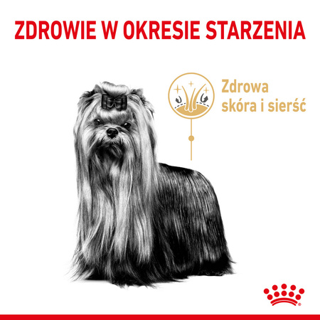 Royal Canin BHN Yorkshire Terrier Adult 8+ 1,5kg Karma Sucha Dla Dojrzałych Psów Rasy Yorkshire Terrier Powyżej 8 Roku Życia