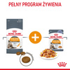Royal Canin Hair & Skin 12x85g Mokra Karma Dla Kotów Dorosłych w Galaretce Zdrowa Skóra Piękna Sierść