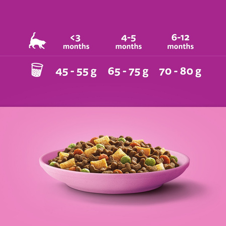 Whiskas Junior 1,4kg - Sucha Karma Pełnoporcjowa Dla Kociąt Z Pysznym Kurczakiem