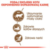 Royal Canin Ageing Sterilised +12 Senior 4kg Karma Sucha Dla Kotów Dojrzałych Sterylizowanych Powyżej 12 Roku Życia