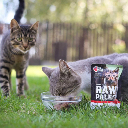 Vet Expert Raw Paleo Sterilised Beef 100g Saszetka Karma Mokra z Wołowiną Dla Kotów Sterylizowanych