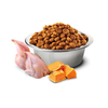 Farmina N&D Cat Pumpkin Quail & Pomegranate 300g Sucha Karma Dla Kota z Przepiórką Dynią i Granatem