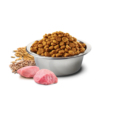 Farmina N&D Ancestral Grain Chicken Adult Medium & Maxi 2,5kg Sucha Karma Dla Dorosłych Psów Średnich I Dużych Ras Z Kurczakiem 