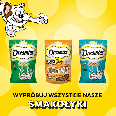Dreamies Creamy 24x10g Kremowy Przysmak Dla Kota Z Kurczakiem I Z Łososiem 