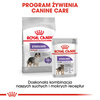 Royal Canin CCN Medium Sterilised 12kg Karma Sucha Dla Psów Dorosłych Ras Średnich Sterylizowanych