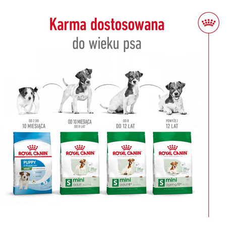 Royal Canin Adult Mini Sucha Karma Dla Psów Małych Ras 4kg