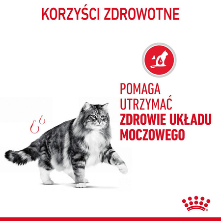 ROYAL CANIN Urinary Care Karma Mokra Dla Kotów Ochrona Dolnych Dróg Moczowych Sos 85g