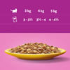 Whiskas Adult 28x85g Mokra Karma Pełnoporcjowa Dla Dorosłych Kotów Kawałki Z Kurczakiem W Galaretce