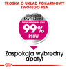 Royal Canin CCN Mini Exigent 3kg Karma Sucha Dla Psów Dorosłych Ras Małych Wybrednych
