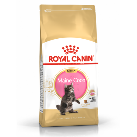 Royal Canin FBN Maine Coon Kitten 2kg Karma Sucha Dla Kociąt Do 15 Miesiąca Rasy Maine Coon