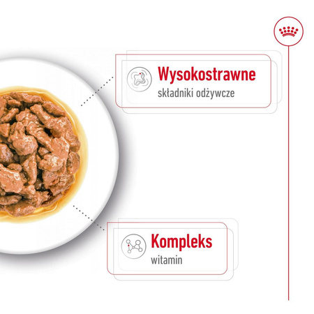Royal Canin SHN Mini Adult 48x85g Karma Mokra W Sosie Dla Psów Dorosłych Ras Małych