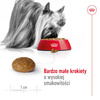 Royal Canin Adult 8+ X-Small 1,5kg Sucha Karma Dla Psów Dojrzałych Powyżej 8 Roku Życia Ras Miniaturowych Do 4kg